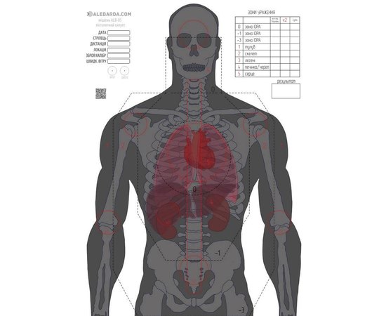 Мішень Алебарда "Анатомічний силует" ALB-50 (566)